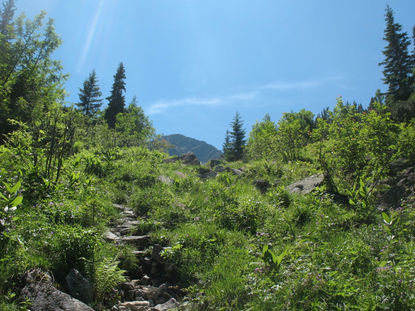 Tatry Słowackie