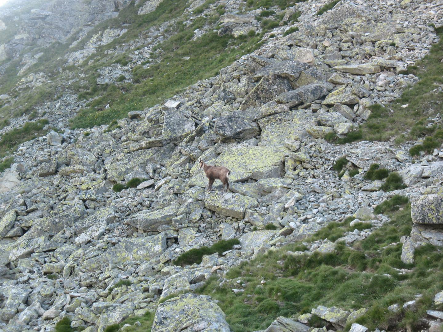 Tatry Słowackie