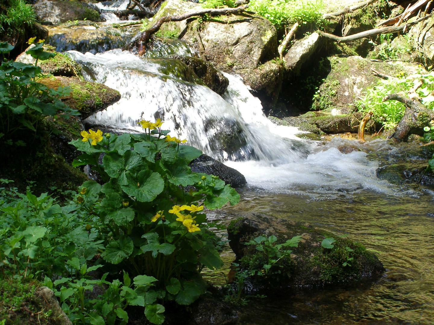 Tatry Wysokie