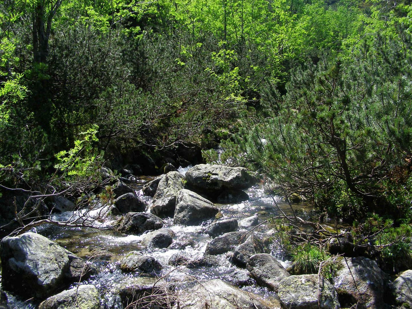 Tatry Wysokie