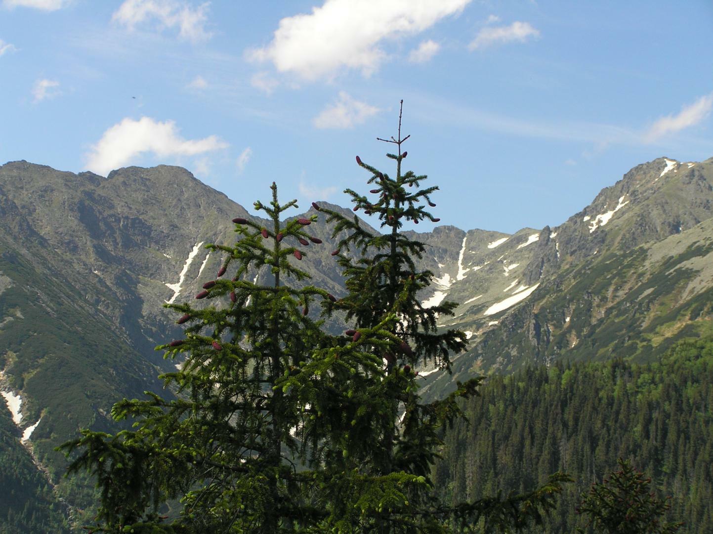 Tatry Wysokie