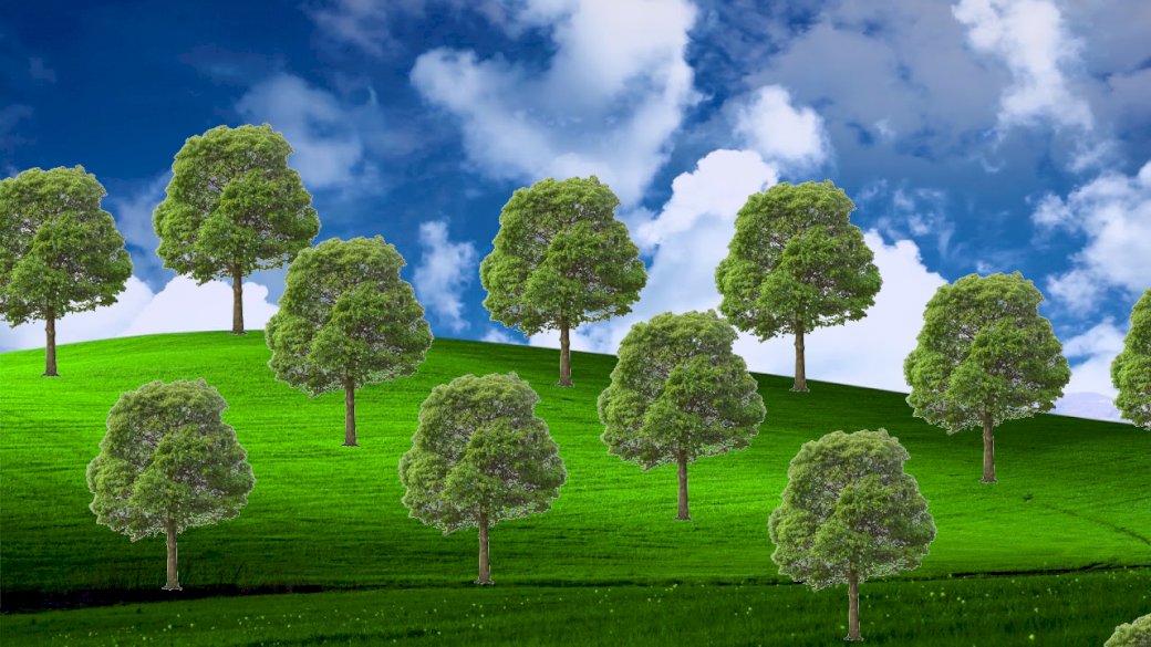 Grafika przedstawia szereg liściastych drzew na zielonej łące na tle błękitnego nieba