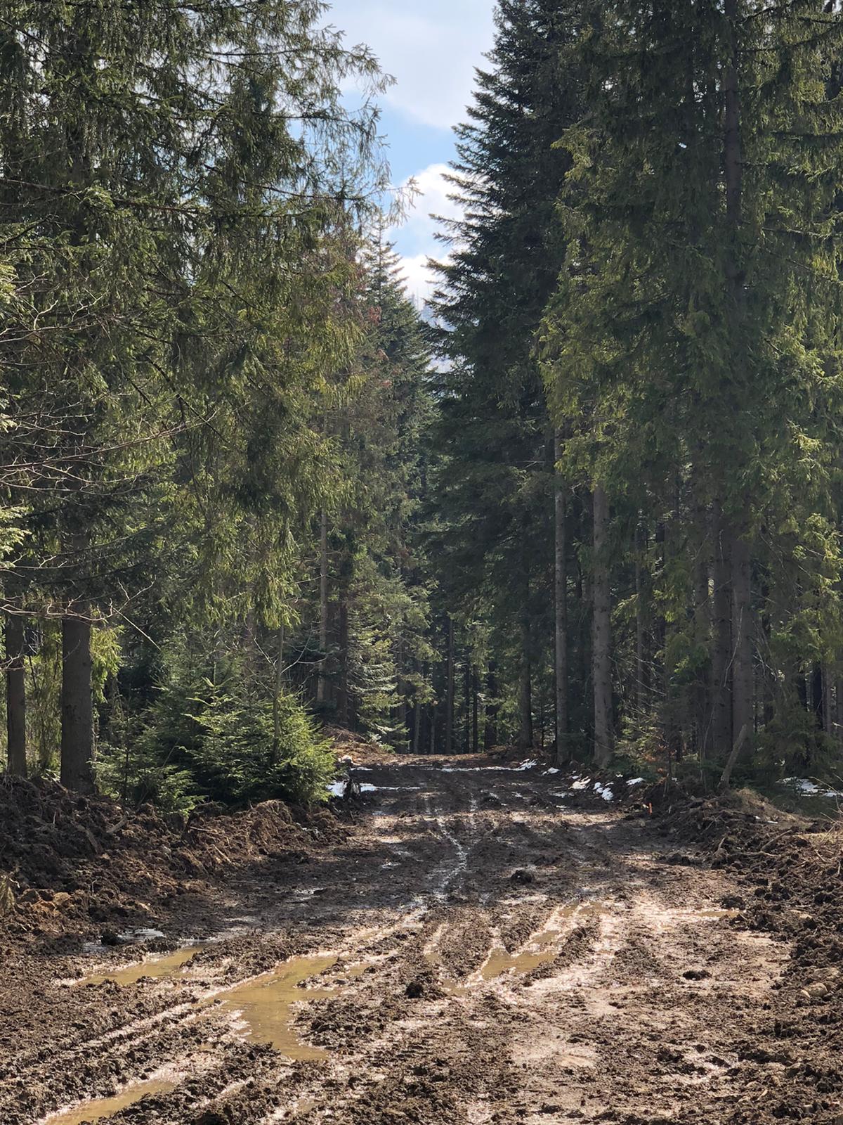 Zdjęcie przedstawia inwestycję na biathlonie w Kirach w Kościelisku